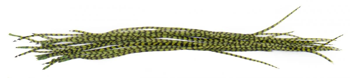 Whiting Dry Fly Saddle Feather Pack 60pc Mix Set With Hackle Gauge 13 Whiting Dry Fly Saddle Feather Pack 60pc Mix Set With Hackle Gauge - Afbeelding 11