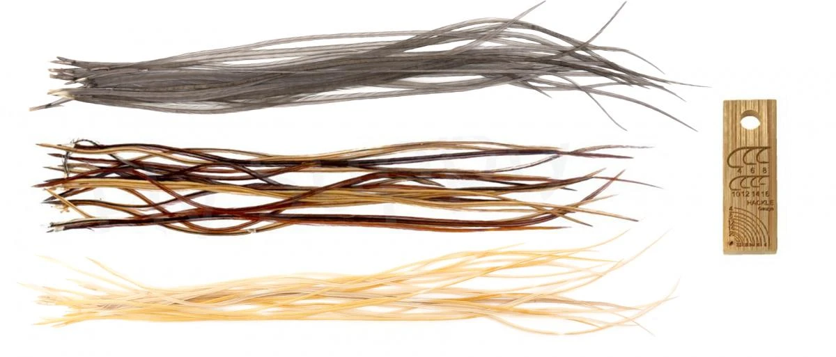 Whiting Dry Fly Saddle Feather Pack 60pc Mix Set With Hackle Gauge 5 Whiting Dry Fly Saddle Feather Pack 60pc Mix Set With Hackle Gauge - Afbeelding 3