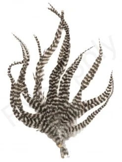 Whiting Grizzly Schlappen Feathers Long -Aanbevolen Winkels Voor Visuitrusting Whiting Grizzly Schlappen Feathers Long WHIT SCHLAPBUND grizzly