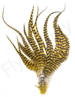Whiting Grizzly Schlappen Feathers Long -Aanbevolen Winkels Voor Visuitrusting Whiting Grizzly Schlappen Feathers Long WHIT SCHLAPBUND grizzly golden