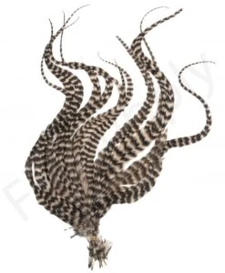 Whiting Grizzly Schlappen Feathers Long -Aanbevolen Winkels Voor Visuitrusting Whiting Grizzly Schlappen Feathers Long WHIT SCHLAPBUND grizzly tan