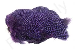 Whiting Guinea Fowl Breast 8 Whiting Guinea Fowl Breast -Aanbevolen Winkels Voor Visuitrusting Whiting Guinea Fowl Breast WH28833 XXX dsc09904