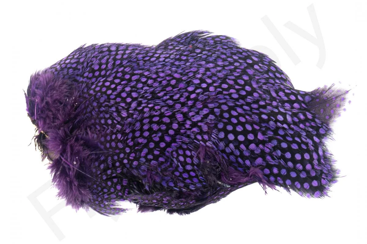 Whiting Guinea Fowl Breast 5 Whiting Guinea Fowl Breast - Afbeelding 3