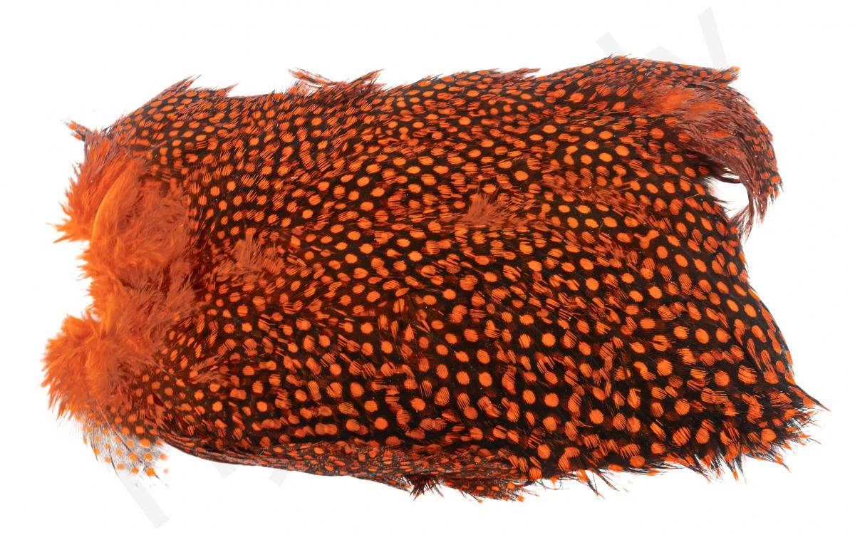 Whiting Guinea Fowl Breast 4 Whiting Guinea Fowl Breast - Afbeelding 2