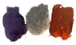 Whiting Guinea Fowl Breast