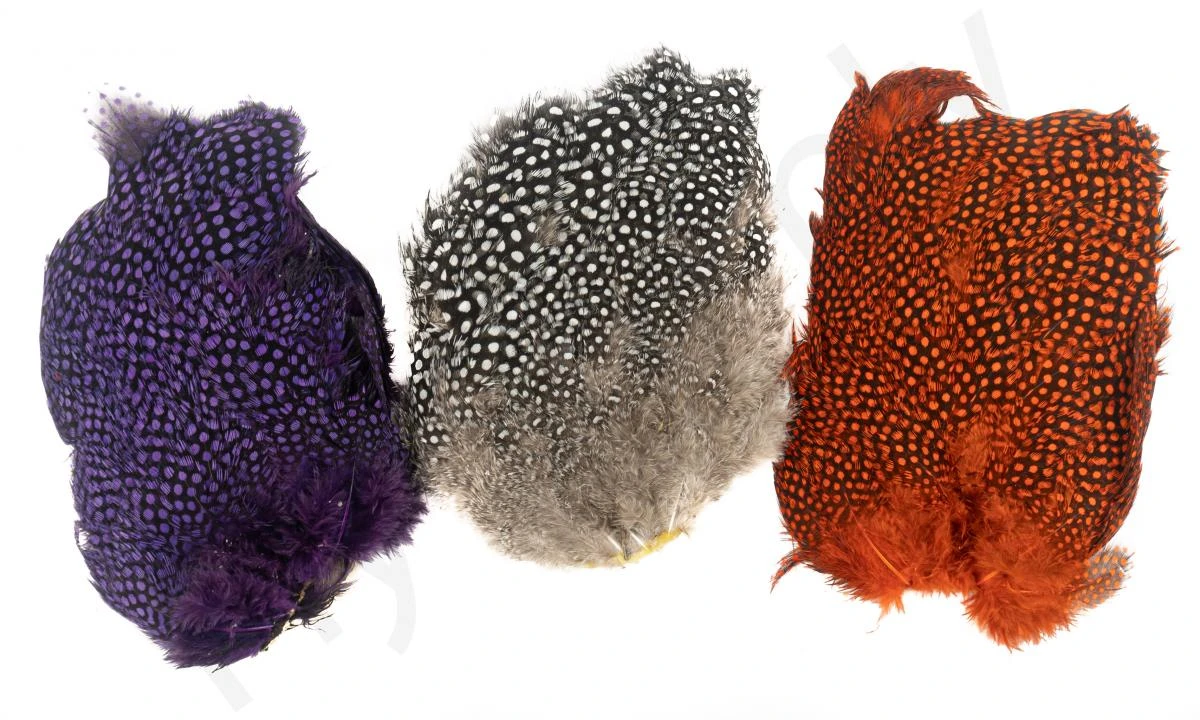 Whiting Guinea Fowl Breast 3 Whiting Guinea Fowl Breast