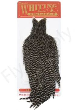 Whiting Hen Cape -Aanbevolen Winkels Voor Visuitrusting Whiting Hen Cape WHIT HENCAPE XX dsc03920 bewerkt