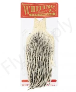 Whiting Hen Cape -Aanbevolen Winkels Voor Visuitrusting Whiting Hen Cape WHIT HENCAPE XX dsc03924 bewerkt