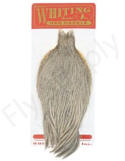 Whiting Hen Cape -Aanbevolen Winkels Voor Visuitrusting Whiting Hen Cape WHIT HENCAPE XX dsc03926 bewerkt