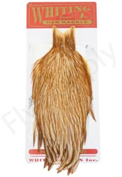 Whiting Hen Cape -Aanbevolen Winkels Voor Visuitrusting Whiting Hen Cape WHIT HENCAPE XX dsc03927 bewerkt