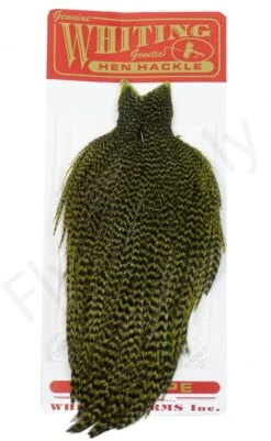 Whiting Hen Cape -Aanbevolen Winkels Voor Visuitrusting Whiting Hen Cape WHIT HENCAPE XX dsc03928 bewerkt