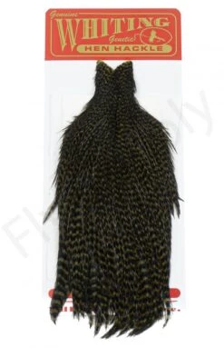 Whiting Hen Cape -Aanbevolen Winkels Voor Visuitrusting Whiting Hen Cape WHIT HENCAPE XX dsc03929 bewerkt