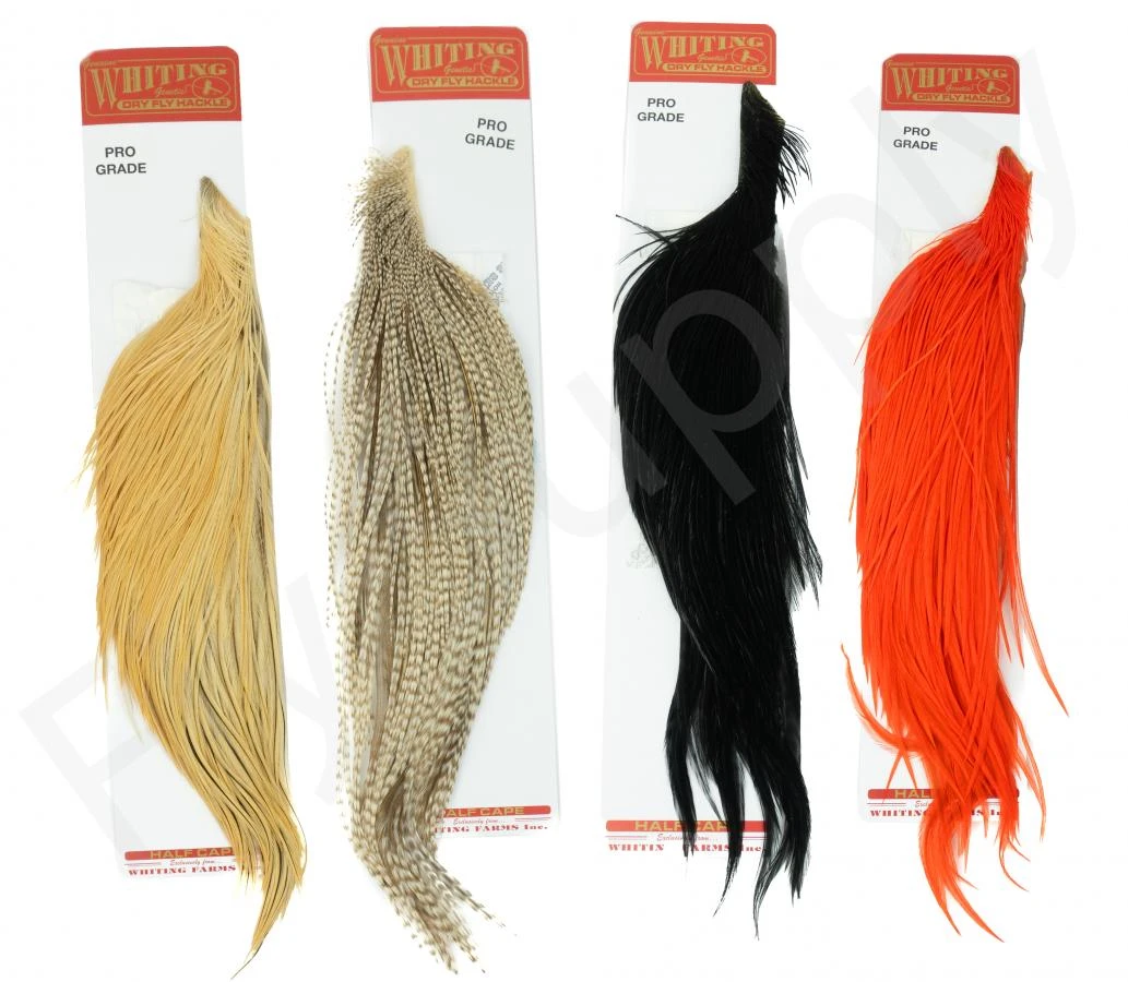 Whiting Pro 1/2 Cape 3 Whiting Pro 1/2 Cape