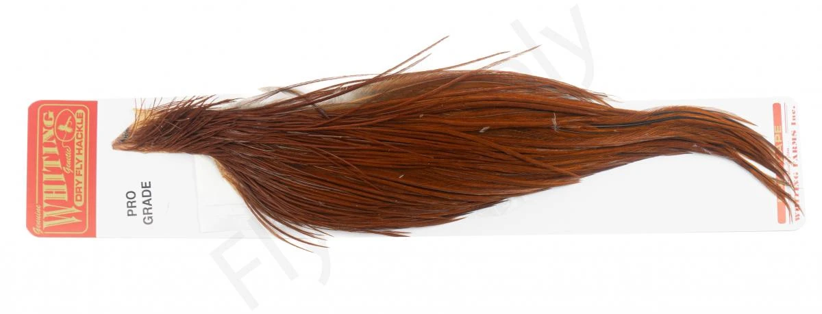 Whiting Pro 1/2 Cape 4 Whiting Pro 1/2 Cape - Afbeelding 2