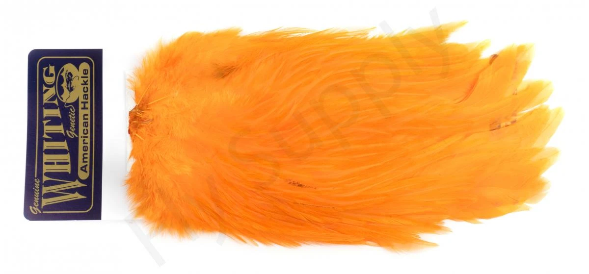 Whiting Rooster Streamer Saddle 18 Whiting Rooster Streamer Saddle - Afbeelding 16