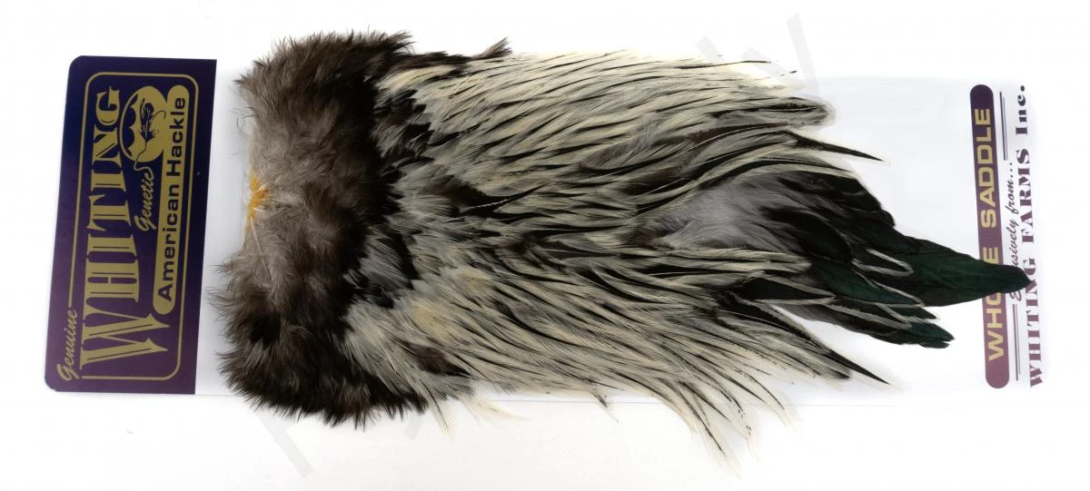 Whiting Rooster Streamer Saddle 19 Whiting Rooster Streamer Saddle - Afbeelding 17