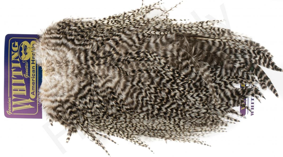 Whiting Rooster Streamer Saddle 6 Whiting Rooster Streamer Saddle - Afbeelding 4