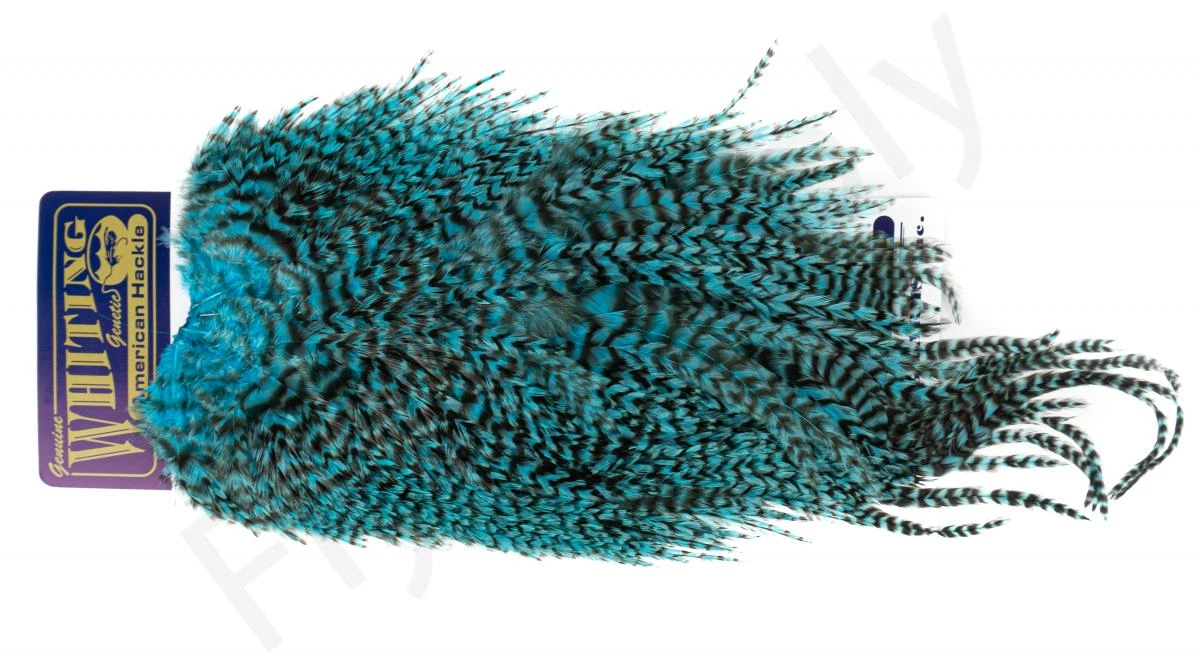 Whiting Rooster Streamer Saddle 7 Whiting Rooster Streamer Saddle - Afbeelding 5