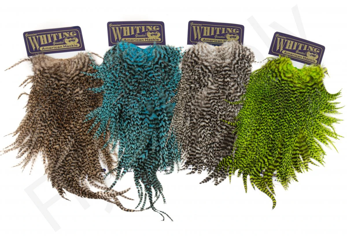 Whiting Rooster Streamer Saddle 22 Whiting Rooster Streamer Saddle - Afbeelding 20