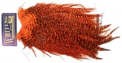 Whiting Rooster Streamer Saddle 24 Whiting Rooster Streamer Saddle -Aanbevolen Winkels Voor Visuitrusting Whiting Rooster Streamer Saddle WHIT ROSA X dsc08407