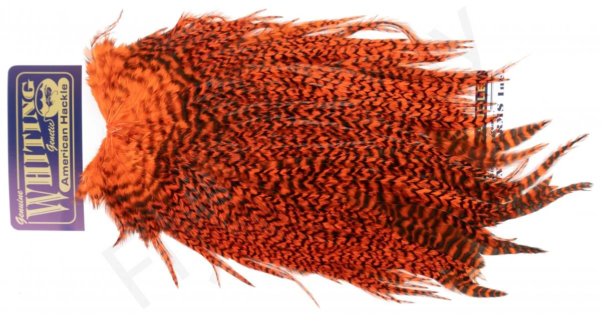 Whiting Rooster Streamer Saddle 5 Whiting Rooster Streamer Saddle - Afbeelding 3