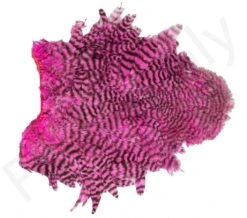 Whiting Spey Soft Hackle With Chickabou -Aanbevolen Winkels Voor Visuitrusting Whiting Spey Soft Hackle With Chickabou WHIT SPEYCHICK X dsc03590 bewerkt