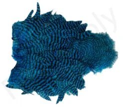 Whiting Spey Soft Hackle With Chickabou -Aanbevolen Winkels Voor Visuitrusting Whiting Spey Soft Hackle With Chickabou WHIT SPEYCHICK X dsc03591 bewerkt