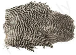 Whiting Spey Soft Hackle With Chickabou -Aanbevolen Winkels Voor Visuitrusting Whiting Spey Soft Hackle With Chickabou WHIT SPEYCHICK X dsc04042 bewerkt