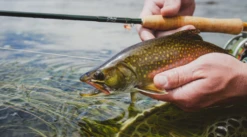 Winston Air 2 Fly Rod 32 Winston Air 2 Fly Rod -Aanbevolen Winkels Voor Visuitrusting Winston Air2 Fly Rod AIR2ROD XXX naamloo1s