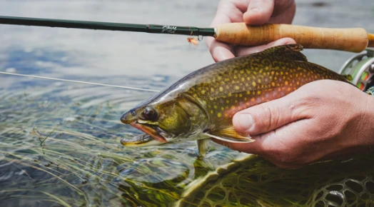 Winston Air 2 Fly Rod 15 Winston Air 2 Fly Rod - Afbeelding 13