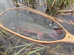 Winston PURE Fly Rod -Aanbevolen Winkels Voor Visuitrusting daniel20april20201920medium