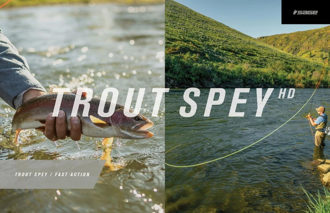 Sage Trout Spey HD 4pc Fly Rod 10 Sage Trout Spey HD 4pc Fly Rod - Afbeelding 8