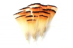 Golden Pheasant Tippets 12pc Select