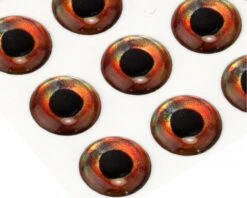 3D Epoxy Fish Eyes Roach -Aanbevolen Winkels Voor Visuitrusting roach3depoxy