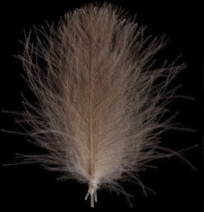 Swiss CDC Ultra Select XL Feathers 20 Swiss CDC Ultra Select XL Feathers - Afbeelding 18