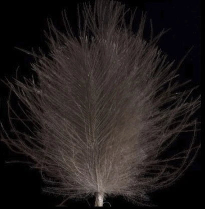 Swiss CDC Ultra Select XL Feathers 22 Swiss CDC Ultra Select XL Feathers - Afbeelding 20