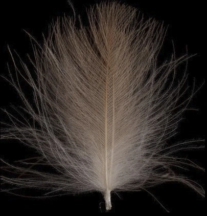 Swiss CDC Ultra Select XL Feathers 19 Swiss CDC Ultra Select XL Feathers - Afbeelding 17