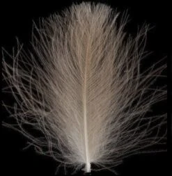 Swiss CDC Ultra Select XL Feathers 37 Swiss CDC Ultra Select XL Feathers -Aanbevolen Winkels Voor Visuitrusting swisscdclightbrown