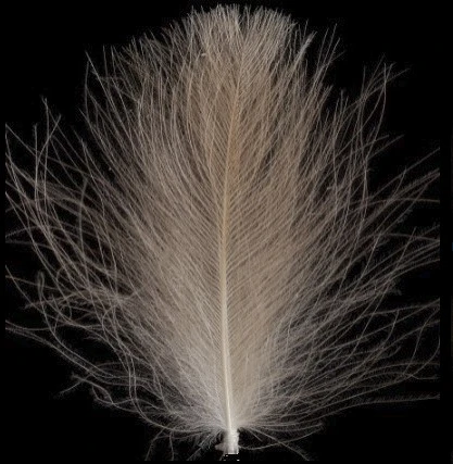 Swiss CDC Ultra Select XL Feathers 18 Swiss CDC Ultra Select XL Feathers - Afbeelding 16