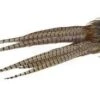 Ringneck Pheasant Tail Clump Complete 1 Ringneck Pheasant Tail Clump Complete -Aanbevolen Winkels Voor Visuitrusting wapsi ringneck pheasant tail clumps