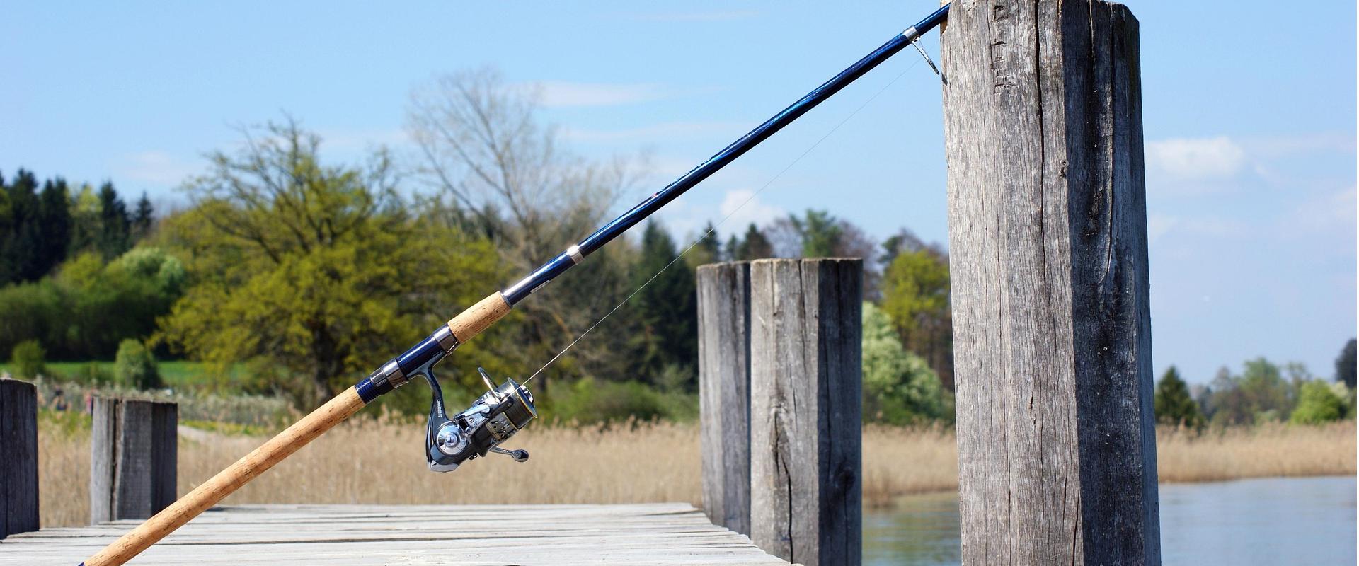 Aanbevolen Winkels Voor Visuitrusting -Aanbevolen Winkels Voor Visuitrusting fishing rod 326843 1920